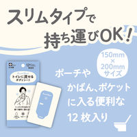 レック SRT 男性用 流せるボディシート 無香料 C01260 1個（12枚入）