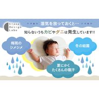 モリリン 洗える除湿パッド シングルサイズ S1025SE2 1枚