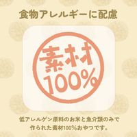 素材100％ 無添加 サクッとぽんせん あご 国産 15g 1袋 スマック 犬用 おやつ