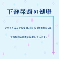 エブリ腎臓ケア おやつ チキン味 国産 30g（5g×6パック）1セット（1袋×3）スマック キャットフード 猫用 おやつ