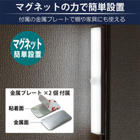 LEDバーライト 日本トラストテクノロジー USB LEDBARライト 3色切替 21cm LEDBARSBT21ー3C 1個