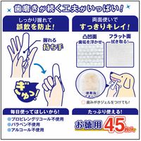 ドギーマン ふきふき 歯ピカ 犬猫用 45枚入 1セット（1個×3）ドギーマンハヤシ