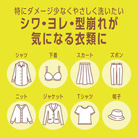 アクロンやさしさプレミアム グリーンシトラスの香り 詰め替え 650mL 1セット（1個×6） 洗濯洗剤 ライオン