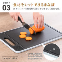 武田コーポレーション 解凍プレート付き多機能まな板L KPSML 1箱(10個入)（直送品）