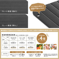 武田コーポレーション 解凍プレートL KPL-BK 1箱(36個入)（直送品）