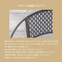 武田コーポレーション ガーデンチェア US241037 1箱(4個入)（直送品）