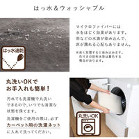 ホームテイスト Witam(ヴィタム) 洗える玄関マット 450×900mm グレー FRG-G-M 1枚（直送品）