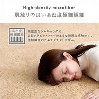 ホームテイスト ふわふわシャギーラグ Мサイズ 2000×2000mm ブラウン SHRG-M 1枚（直送品）