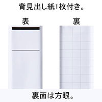 アスクル　リングファイル　A4タテ　D型2穴　背幅41mm　クリアホワイト　白　ユーロスタイル オリジナル（わけあり品）