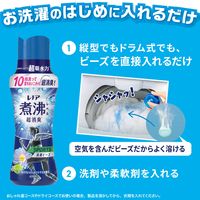 レノア 超消臭 煮沸レベル 抗菌ビーズ スポーツ クールリフレッシュ＆シトラス 本体 420mL 1個 抗菌 P＆G