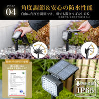 武田コーポレーション 2WAYスポットライト2P LN-S-2WSP2P 1箱(8個入)（直送品）