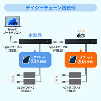 サンワサプライ  USB 5Gbps Type-C 20ポートハブ USB-5TCPS20（直送品）