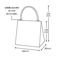 HEADS(ヘッズ)無地ハンドル付クリアギフトバッグー2　1袋（20枚）