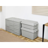 吉川国工業所 クロゼット・システム 引出し(L)2個組 AGy CS-D3*2P_AGy 1セット