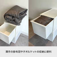 吉川国工業所 クロゼット・システム 引出し(L)2個組 AW CS-D3*2P_AW 1セット