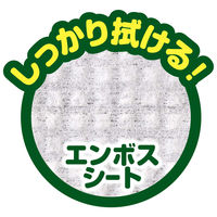 レック 激落ちくん セスキ超厚ウエットシート C00275  20枚入 1セット（1個×6）