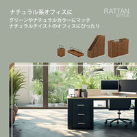ナカバヤシ ラタンスタイル ファイルスタンド RSS-FS01BR 1個