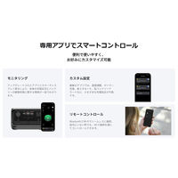 ECOFLOW ポータブル電源 RIVER3 Plus(290) EFRIVER3Plus-JP-CBOX 1台