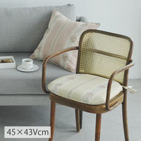 川島織物セルコン モアレストライプ シートクッション LN2713 45×43cm ベージュ LN2713_98BE 1枚（直送品）