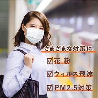 白元アース 快適ガードマスク ふつうサイズ ライトベージュ 使い捨て　不織布　プリーツマスク　1袋（7枚入）