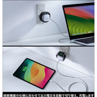 サンワサプライ  USB PD対応AC充電器（PD30W・Apple Watch充電） ACA-PD101（直送品）