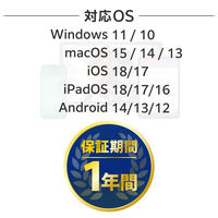 SSD 外付け 250GB スライド式 USB-C/A両対応 ブラック ESD-EWB0250GBKR エレコム 1個