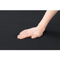 アイリスオーヤマ 折りたたみベッド OTB-TRR ブラック 1台（直送品）