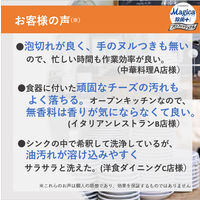 【専用空ボトル付き】CHARMY Magica(チャーミーマジカ) 除菌+ プロフェッショナル ハーバルグリーン 業務用詰替3.8L 1箱（3個入） ライオン