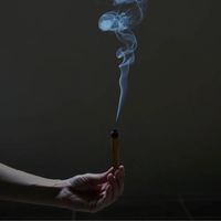 生活の木 パロサント スティック 1袋（5本入）