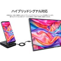 JAPANNEXT 16インチ ワイド モバイルモニター JNーMDーIPS16WQXGAR 1台
