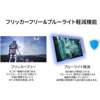 JAPANNEXT 31.5インチ ワイド液晶ディスプレイ JNーIPS3150WQHDR 1台