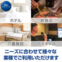 ファブリーズ ナチュリス 布用 消臭スプレー レモングラス＆ジンジャー 詰め替え10L（バックインボックス）1個 P&G