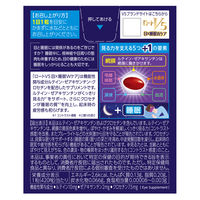 ロートV5 目×睡眠Wケア（30日分） 1個（30粒入） ロート製薬 目のサプリメント