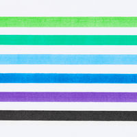 サクラクレパス ピグマックスツイン12色セット ZPK-T12 1個