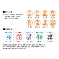 シヤチハタ ネームペントリノ (メールオーダー式) シルバー NP-TF1/MO 1本