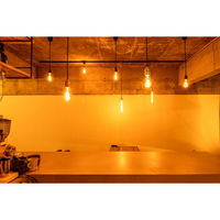 TIC 1灯ペンダントライト カーブ ブラック/チューブ TC-1004-CURVE BK/TU 1セット（直送品）