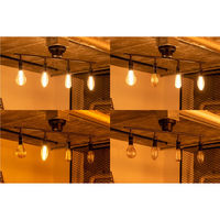 TIC 本体 4灯スポットライト ブラック TC-1005-BK 1個（直送品）