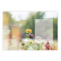 学研ステイフル メッセージブック It's always okay 応援 もなみん 空 封筒付 E10085 1セット(1冊×3)（直送品）