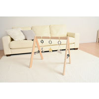 シンセーインターナショナル プレイジム よぞらのプレイジム 赤ちゃん 北欧 0歳 426019 1個（直送品）