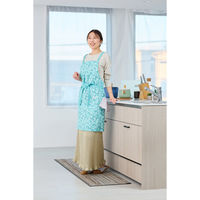 ResoTrading エプロン ヘーゼルエプロン vieressa ライトグリーン 476844 1個（直送品）