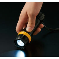 リマーク ネックストラップ付きズームライト 81722 1個（直送品）