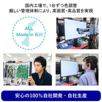 EIZO FlexScan EV2400R EV2400R-BK 1台（直送品）