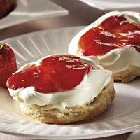 日本マイセラ 業務用 クロテッドクリームプレーン28g 421868 1ケース 28g×24個（直送品）