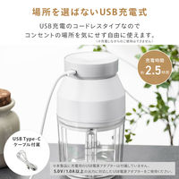 武田コーポレーション 電動みじん切りカッター USB-MZNK 1箱(27個入)（直送品）