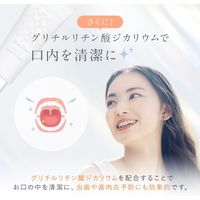 歯磨き粉 ホワイトニング アスプラッシュ トゥースペースト クールミント 100g 1本 薬用ハミガキ コントリビューション