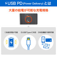 朝日電器 延長コード 電源タップ 耐雷 タワー型 12個口/2m PD20W ブラック WBS-TW12442BUC(BK) 1個（直送品）