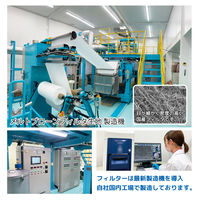 3D立体型マスク 5枚入 標準サイズ 黒 10袋セット DB05-10-AS 1セット（10袋） エスパック（直送品）