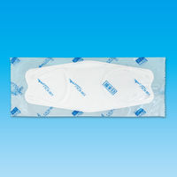 3D立体型マスク 5枚入 標準サイズ 白 10袋セット DW05-10-AS 1セット（10袋） エスパック（直送品）