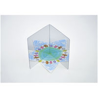 コクヨ WORK×CREATEシリーズ みてみてミラー 知育玩具 KE-WC44-3 1冊