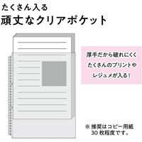 マルマン セッション バインダー A4 30穴 ブルー F584-02 1冊
